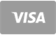 Visa Zahlungsmethode bei GoldZino Casino